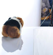 8 Inch Guinea Pig Plush Toy Stuffed Animal Toy Plush Animal Doll (Black)